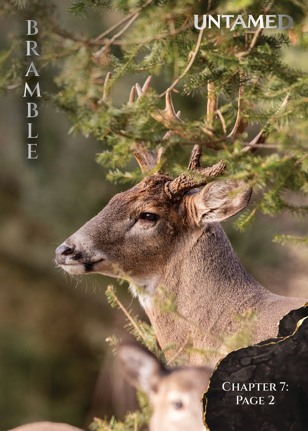 Bramble