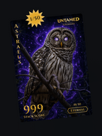 Collector's Case (144 Foil Packs)