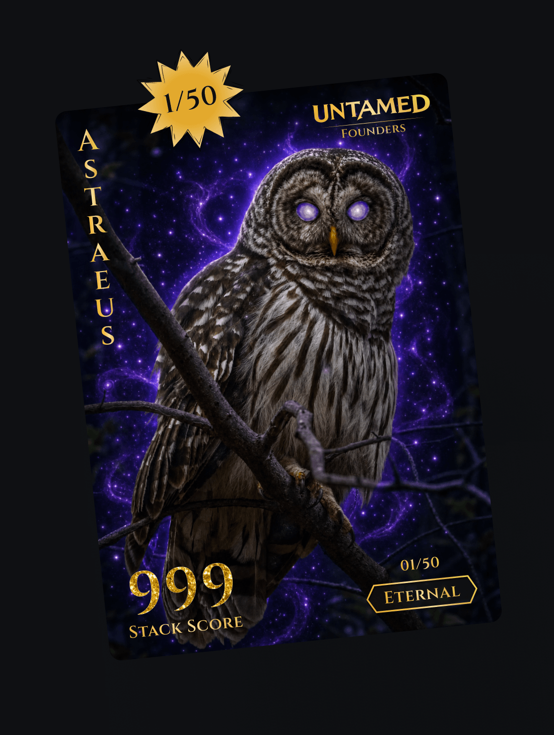 Collector's Case (144 Foil Packs)