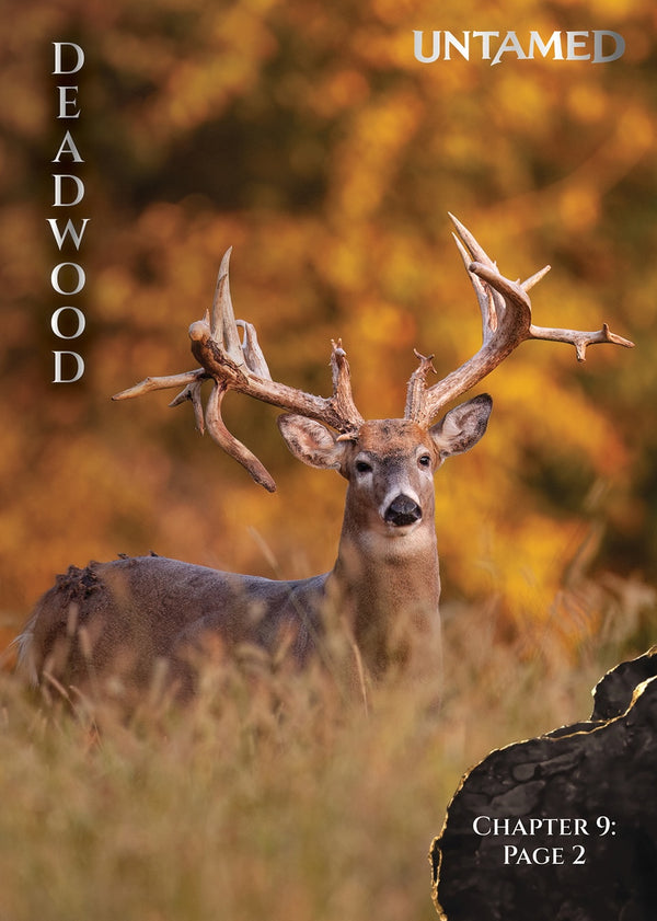 Deadwood