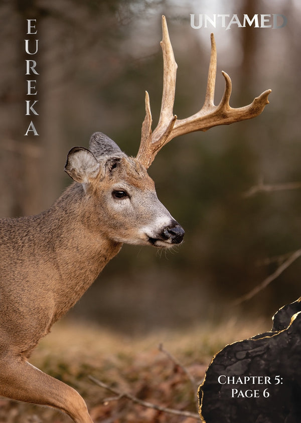 Eureka