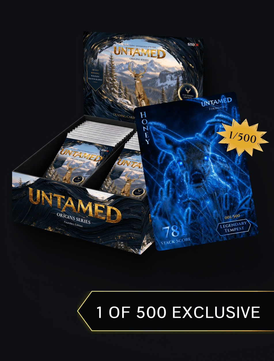 Hobby Box (24 Foil Packs)