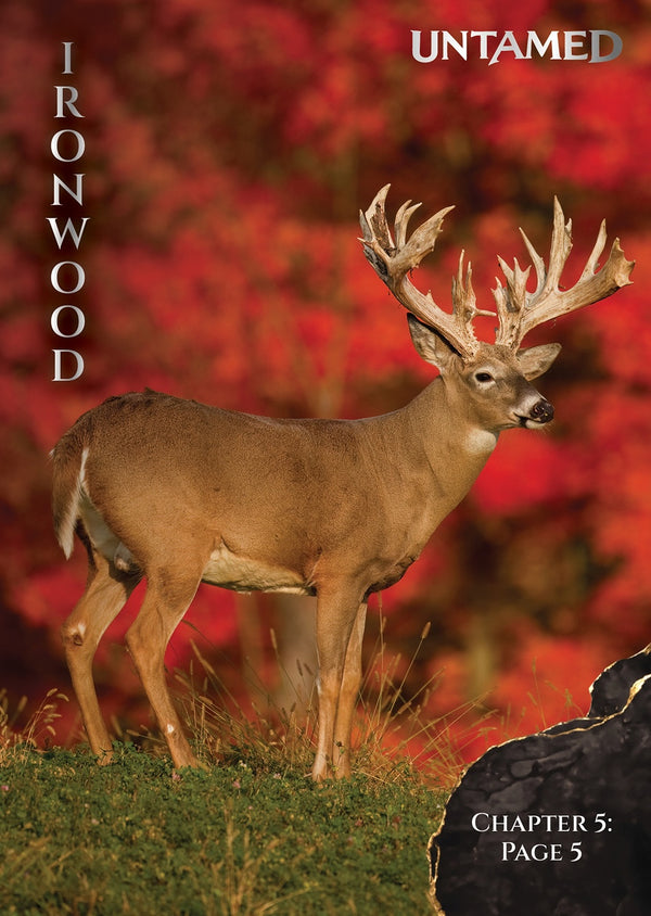 Ironwood