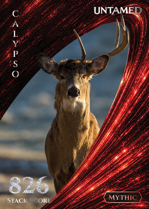 Calypso