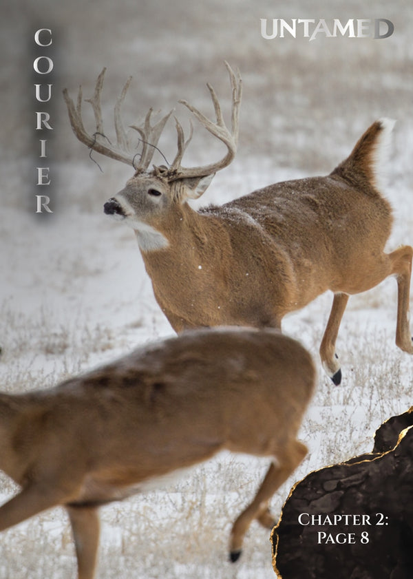 Courier