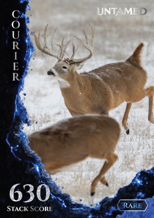 Courier