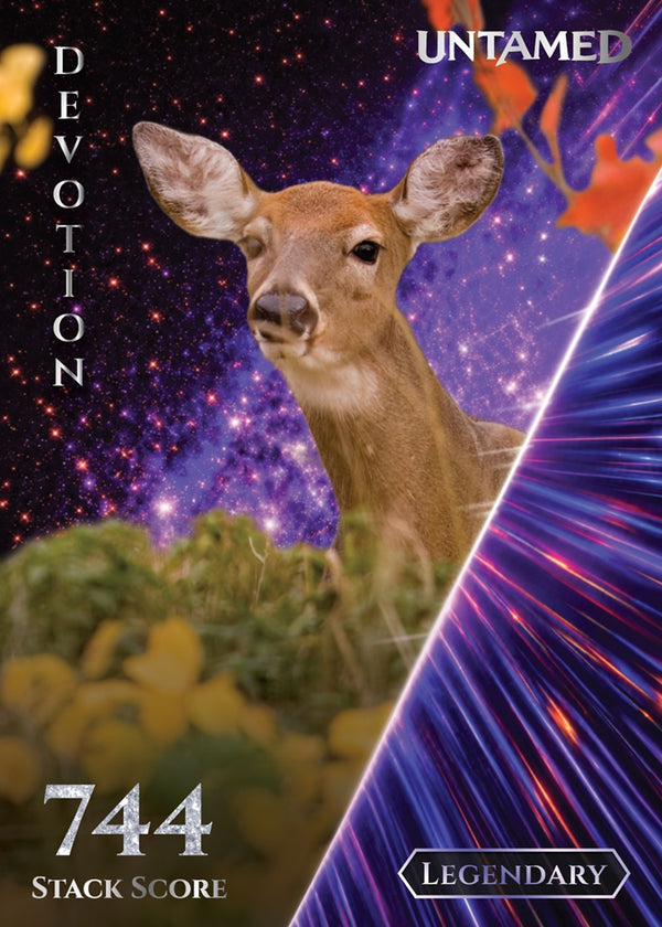 Devotion
