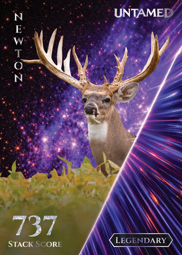 Newton