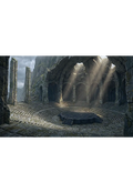 Collector’s Edition