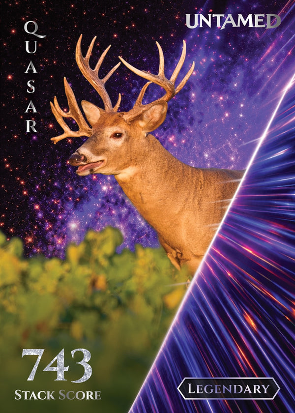 Quasar