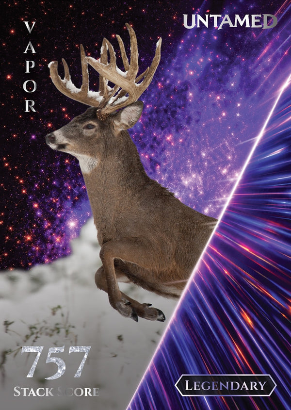 Vapor